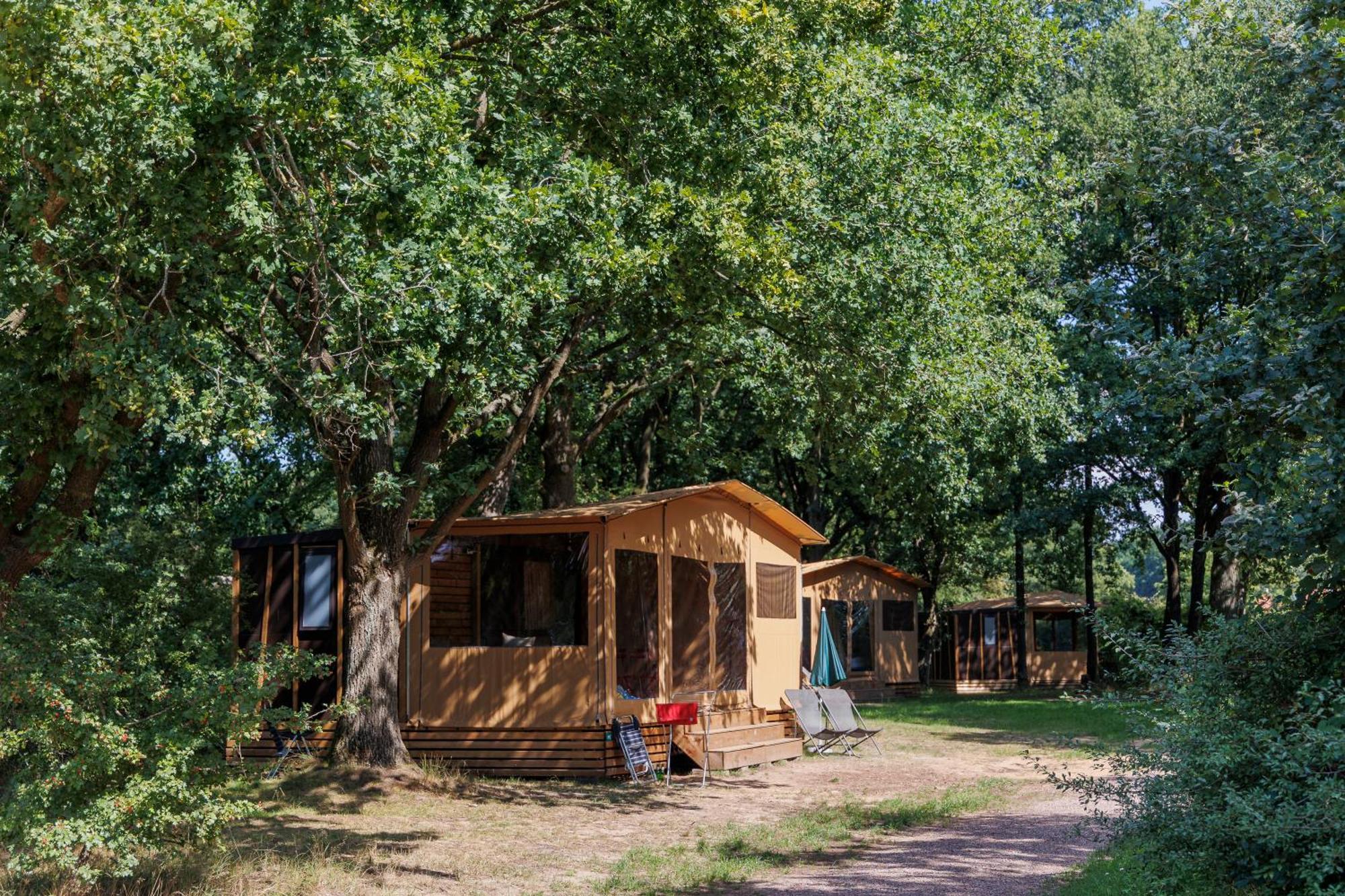 Huttopia De Roos Stegeren Exteriér fotografie